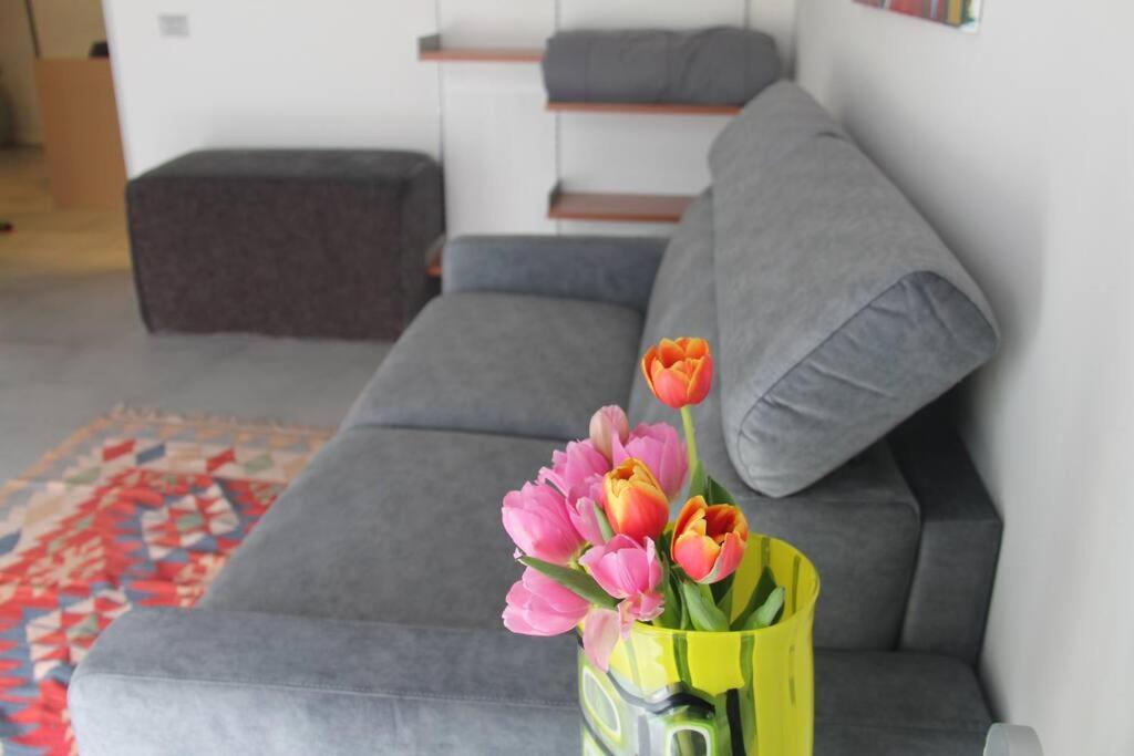 Mela Apartamento
